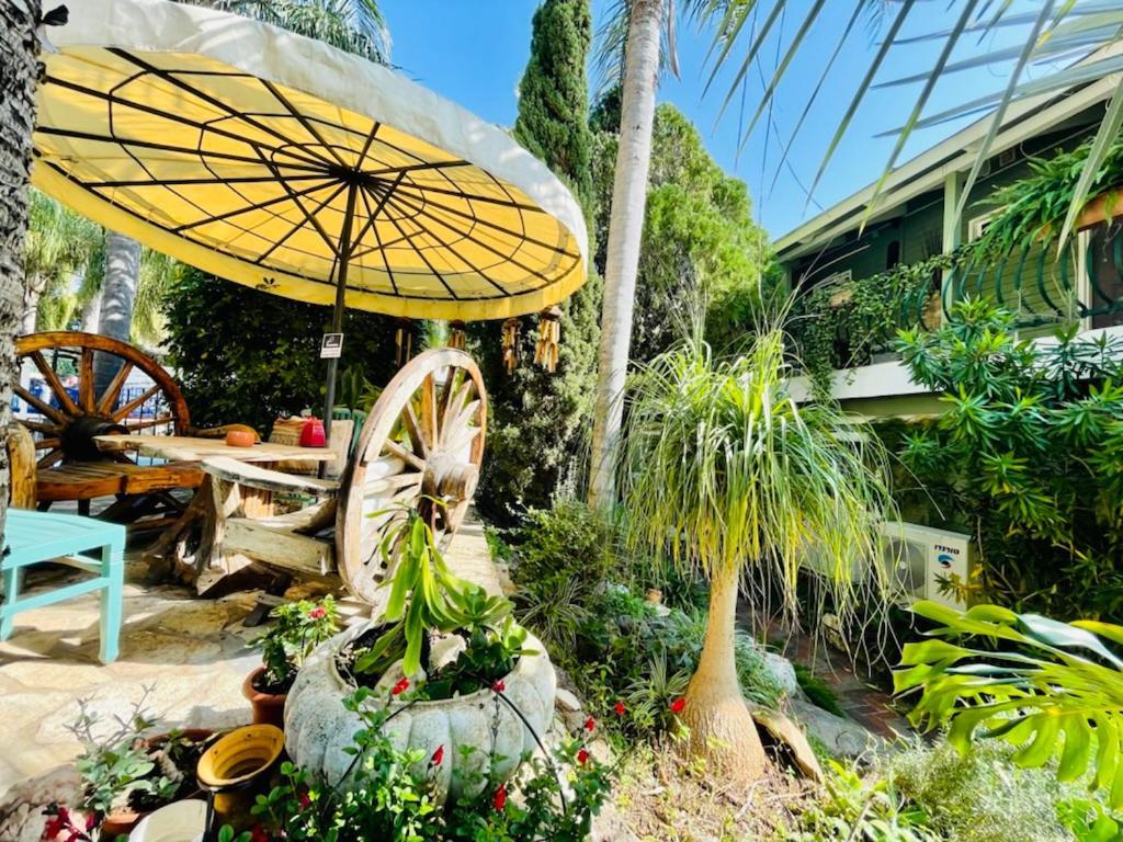 Out Of Africa Resort ハッド・ネス エクステリア 写真