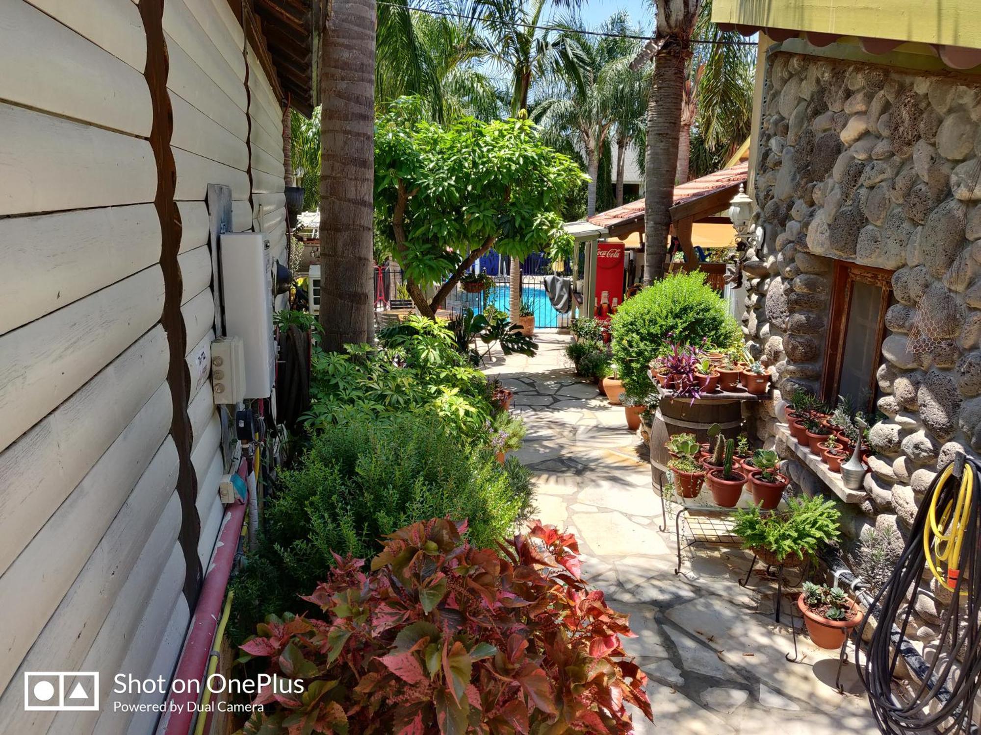 Out Of Africa Resort ハッド・ネス 部屋 写真