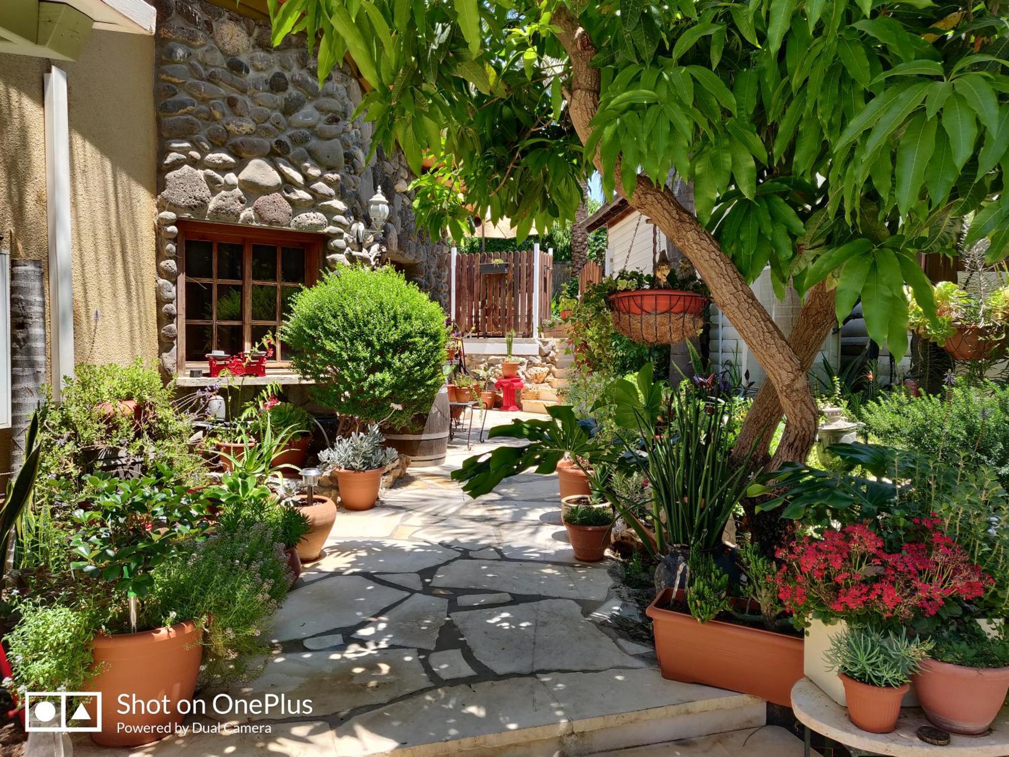 Out Of Africa Resort ハッド・ネス 部屋 写真
